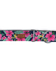 Hibiscus Floral Dog Collar