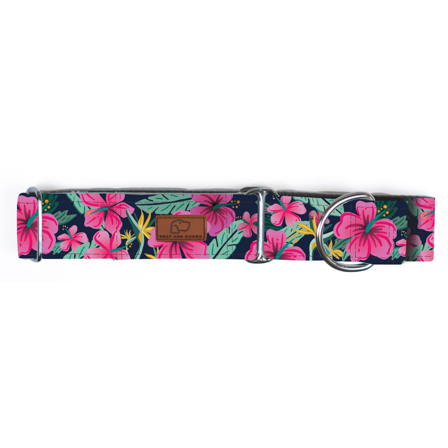 Hibiscus Floral Dog Collar