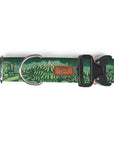 Enchantments in Green Dog Collar [Limited Edition Artist Series]