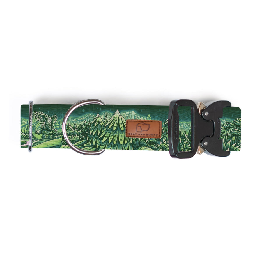 Enchantments in Green Dog Collar [Limited Edition Artist Series]