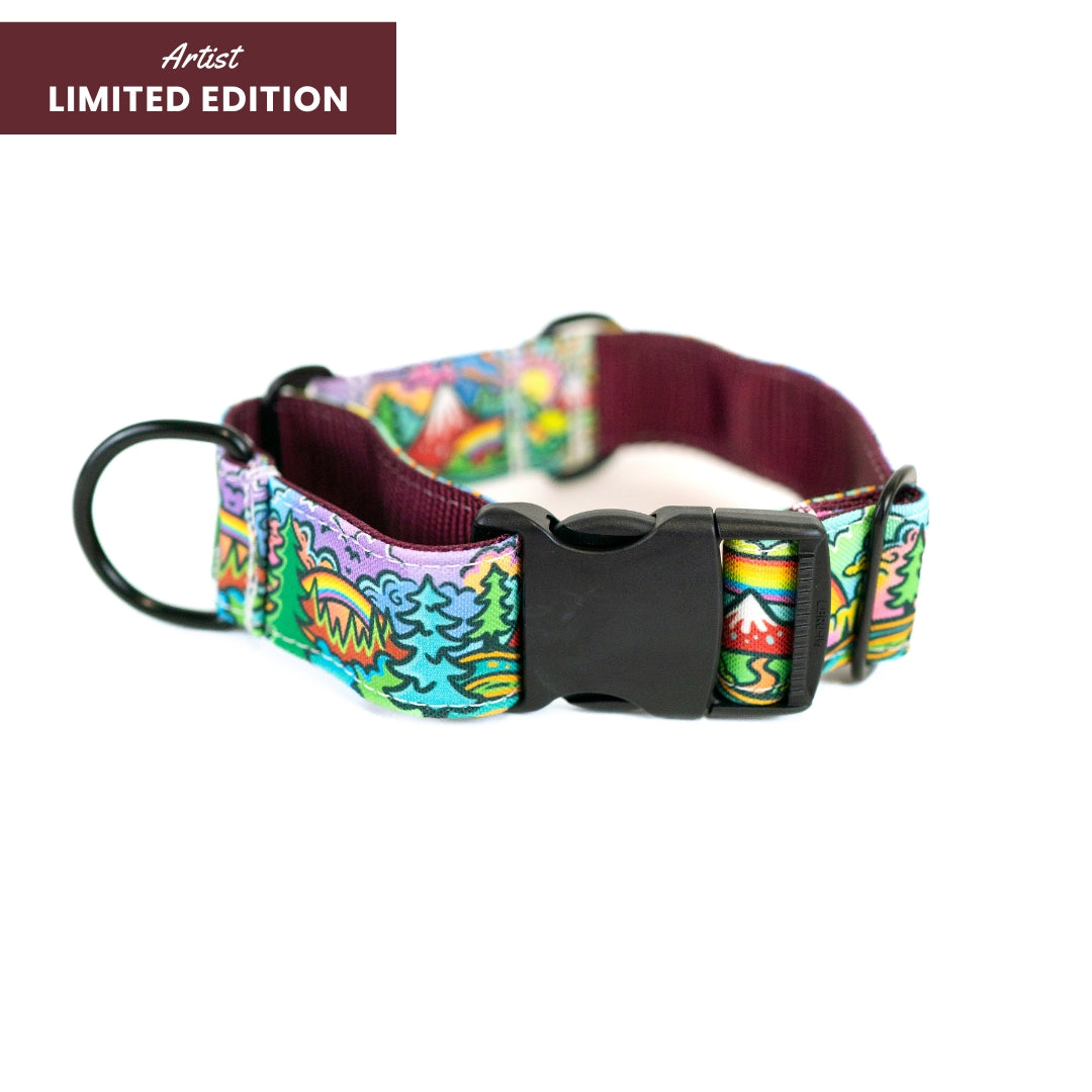 Rainbow Ridge Hybrid Martingale Dog Collar | Limited Artist Series
