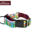 Rainbow Ridge Hybrid Martingale Dog Collar | Limited Artist Series