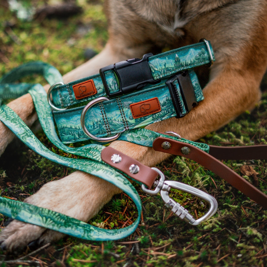 Enchantments in Green Dog Leash [Limited Edition Artist Series]