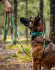 Enchantments in Green Dog Leash [Limited Edition Artist Series]