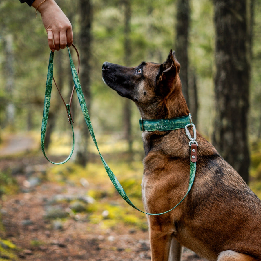 Enchantments in Green Dog Leash [Limited Edition Artist Series]