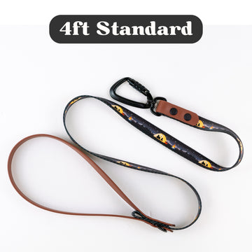 4ft Campfire Dog Leash