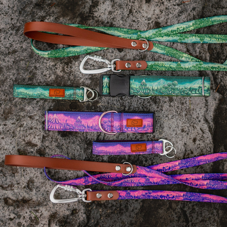 Enchantments in Purple Dog Leash [Limited Edition Artist Series]