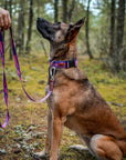 Enchantments in Purple Dog Leash [Limited Edition Artist Series]