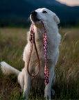 Dusk Floral Dog Leash