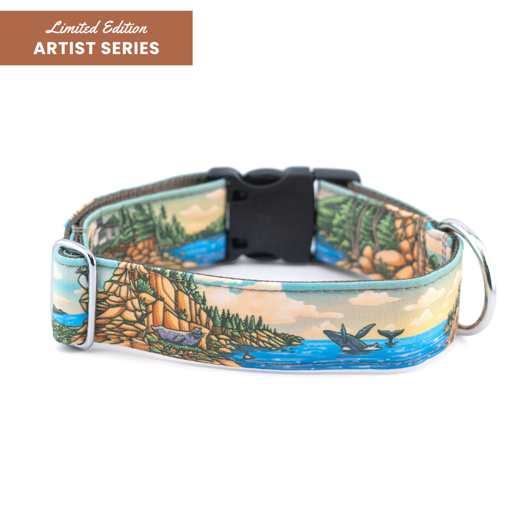 Acadia Parkside Collar