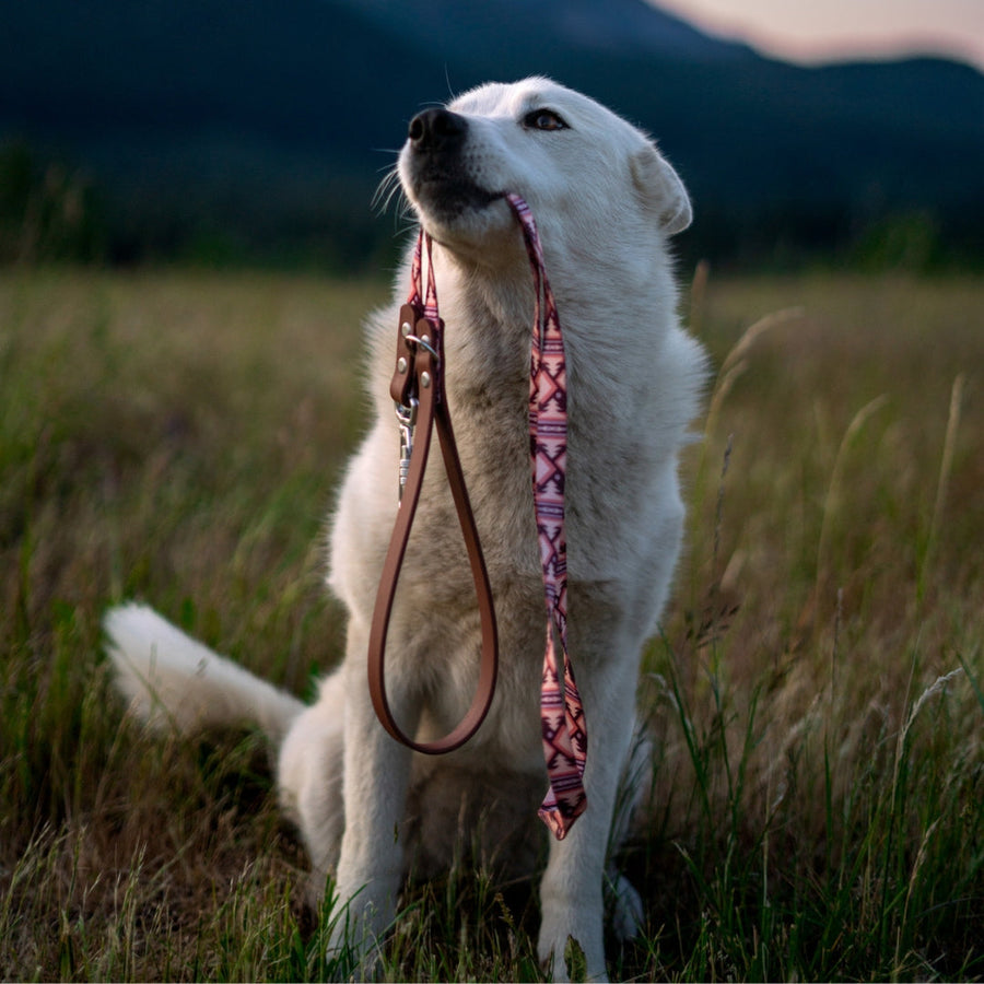 Teton Sunrise Dog Leash