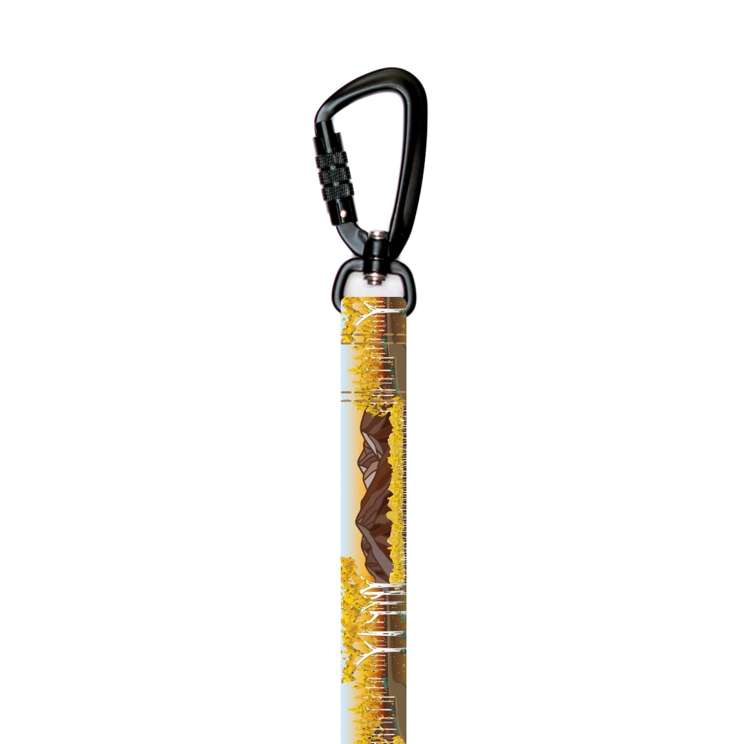 Roam Hands-Free Dog Leash [pick your design]