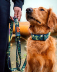 1947 Buckle-On Martingale Collar