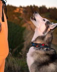 Camp Hollow Hybrid Martingale Dog Collar | Limited Artist Series