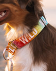 Rainbow Topo Wild Dog Collar [ready to ship]