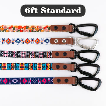 6ft Assorted Dog Leashes