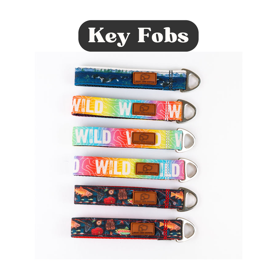 Assorted Key Fobs