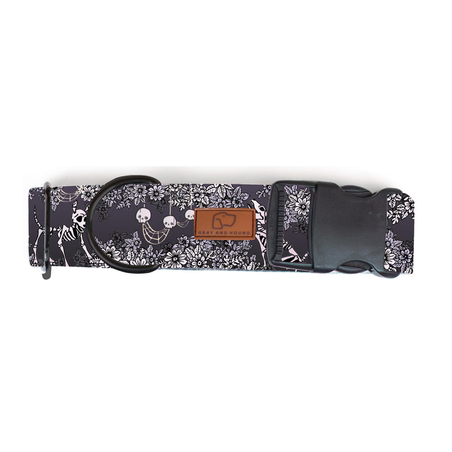 Spooky Nights Dog Collar