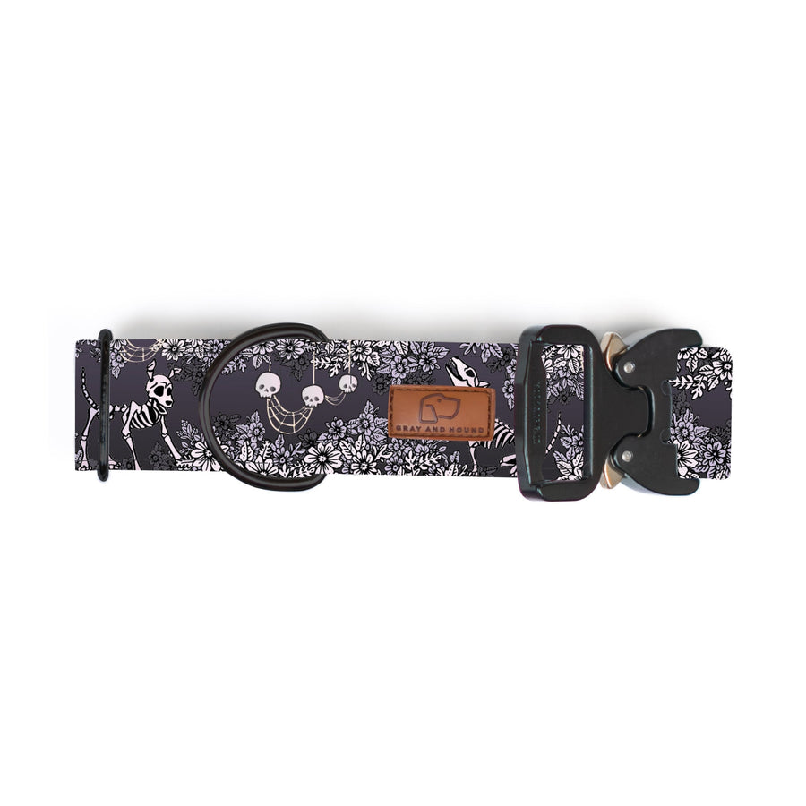 Spooky Nights Dog Collar