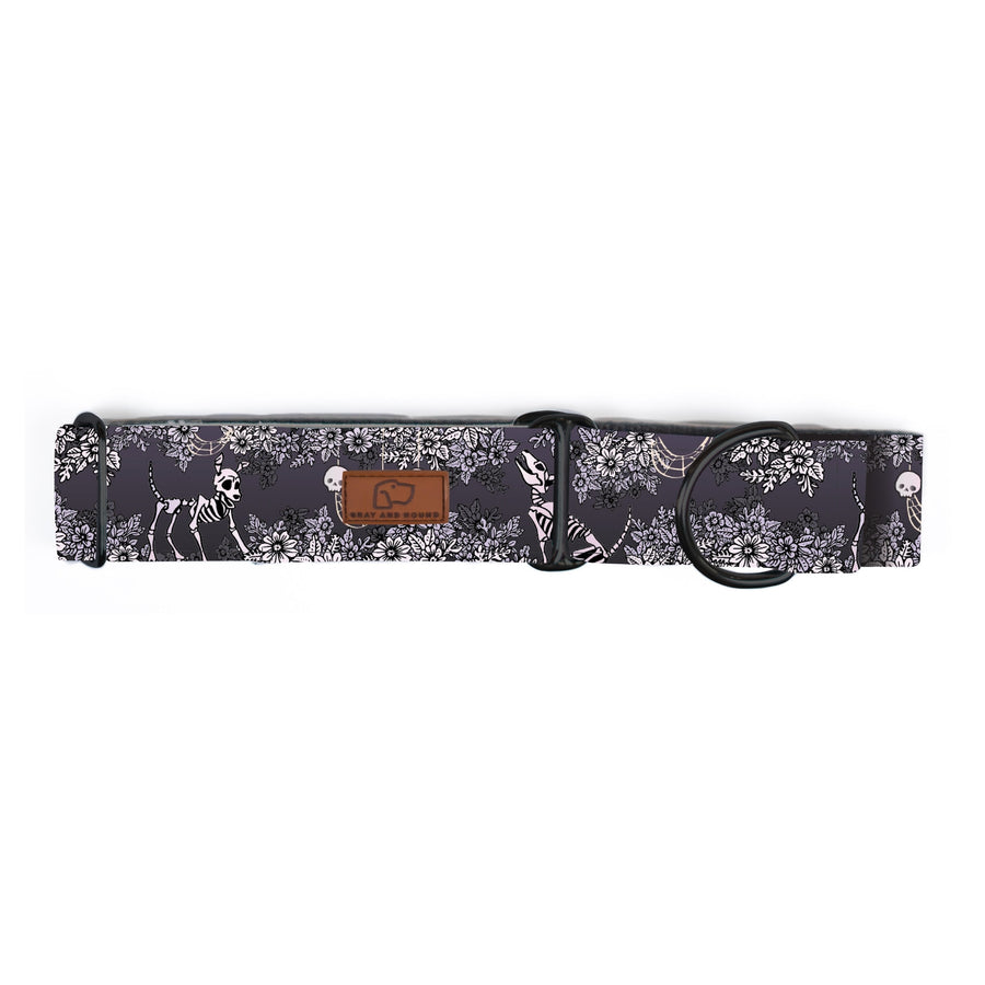 Spooky Nights Dog Collar