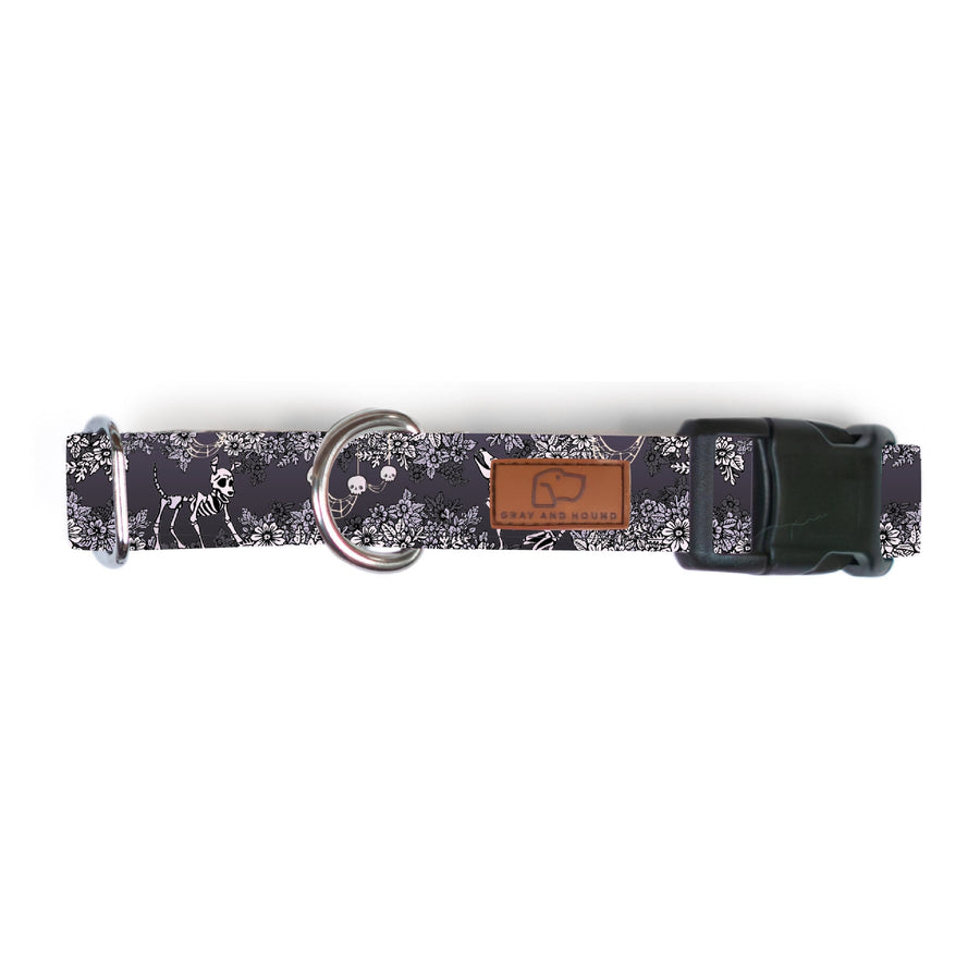 Spooky Nights Dog Collar