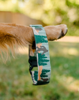 Bigfoot Dog Collar