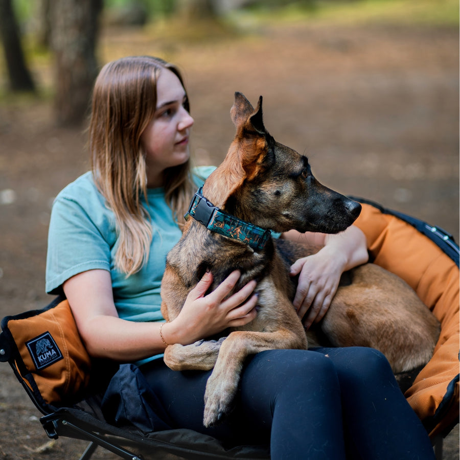 Sasquatch Shadows Hybrid Martingale Dog Collar [artist limited edition]