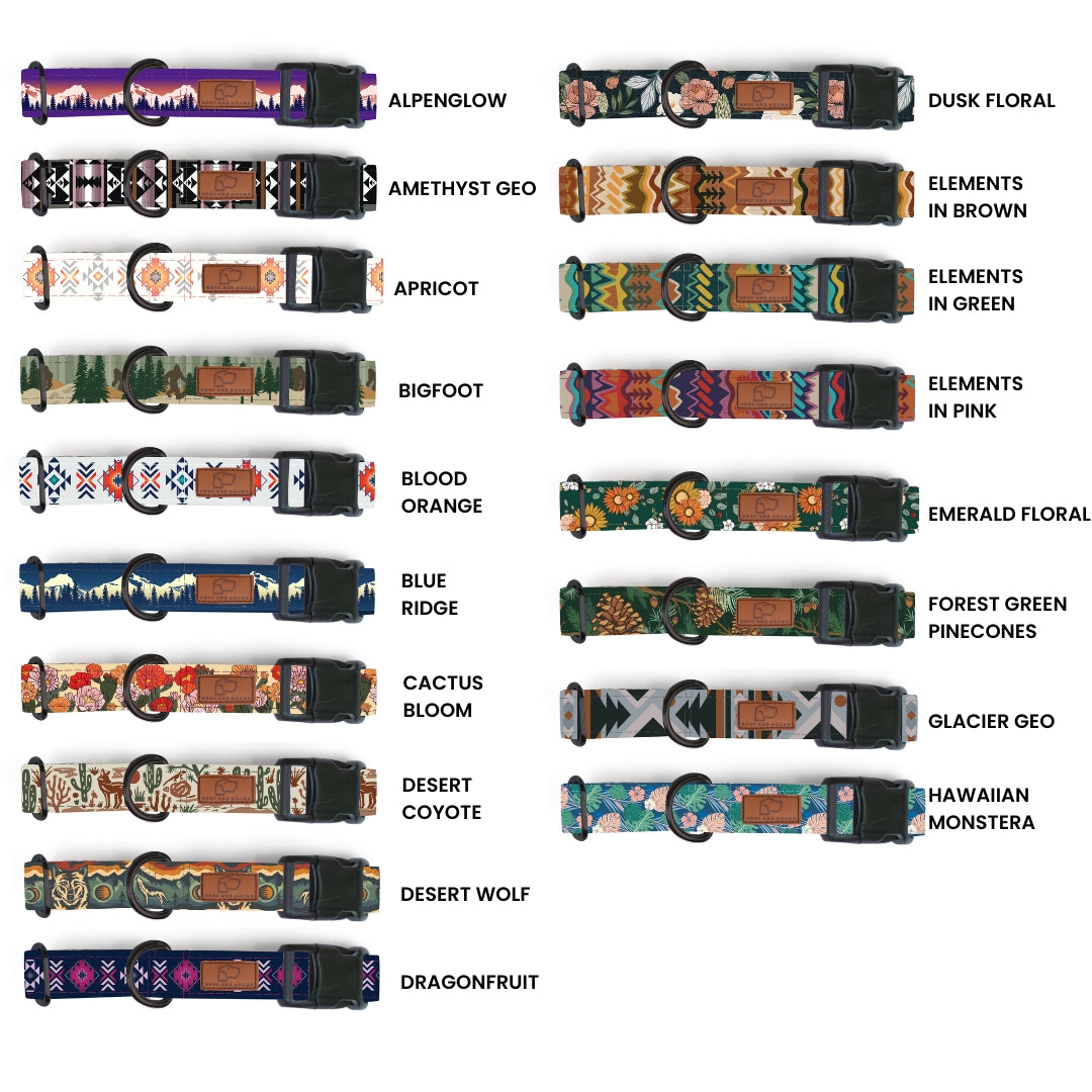 Plastic Buckle Dog Collar Three Pack (choose your designs)