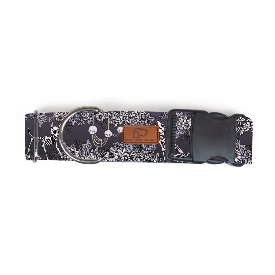 Spooky Nights Dog Collar