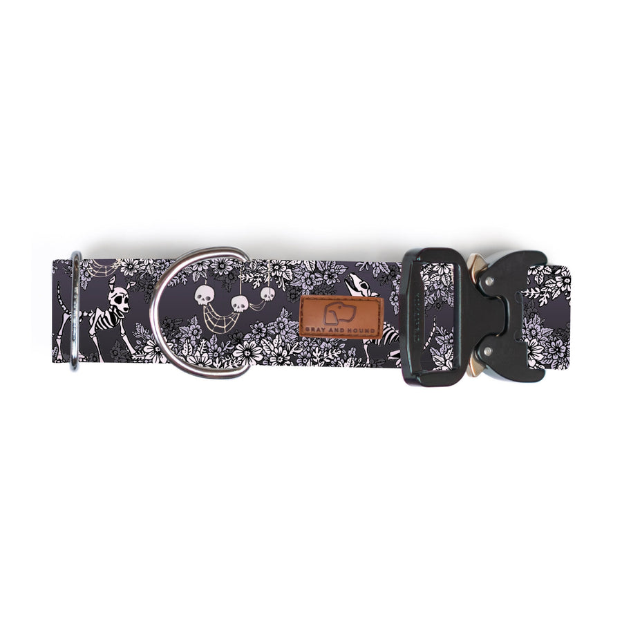 Spooky Nights Dog Collar