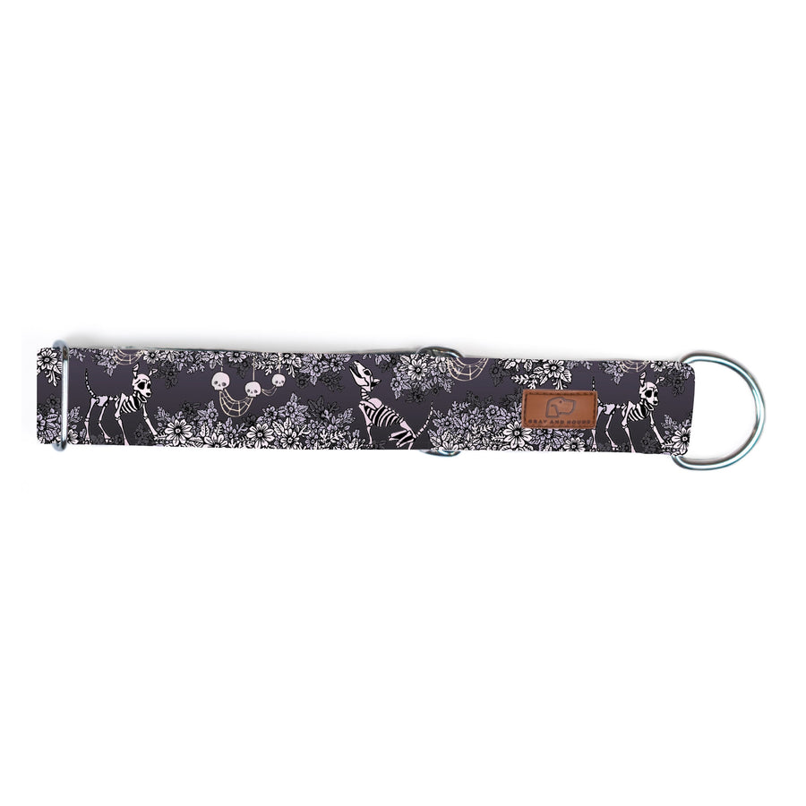 Spooky Nights Dog Collar