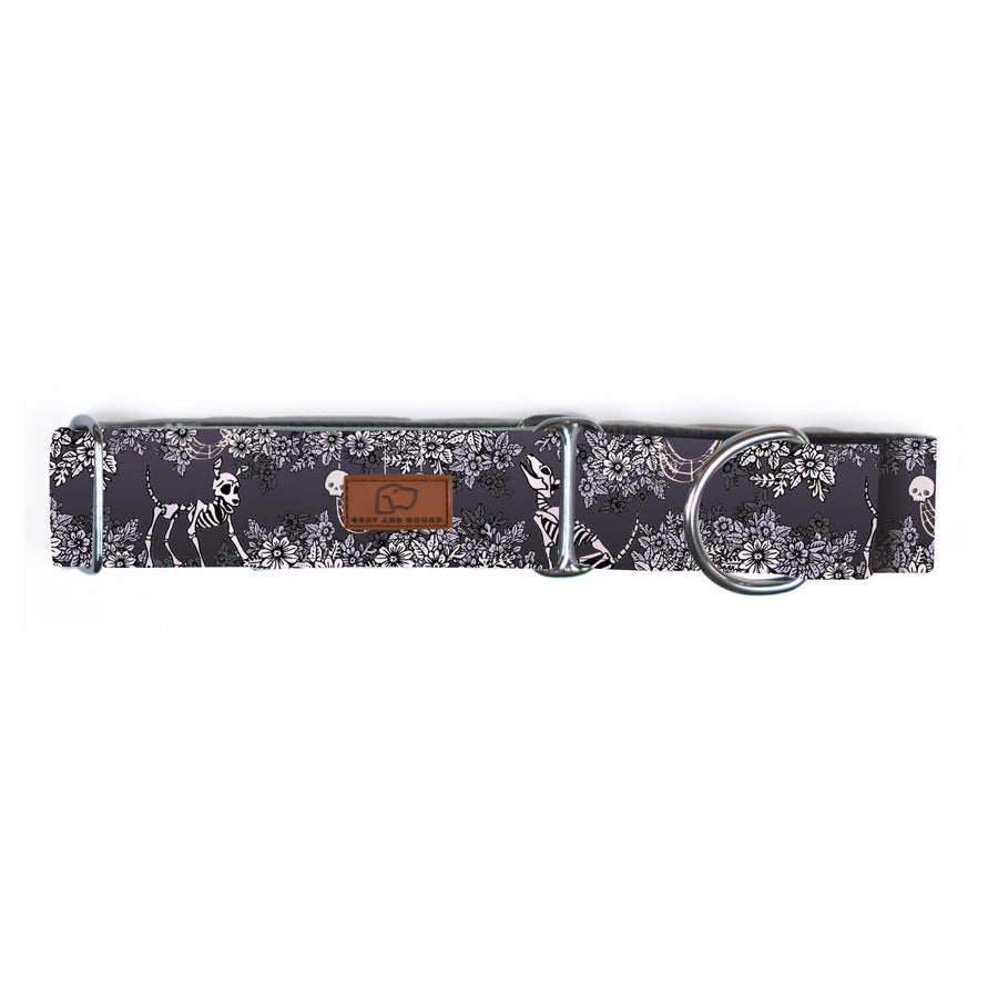 Spooky Nights Dog Collar