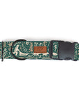 Nordic Sled Dog Collar