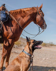 Westward Buckle-On Martingale Collar