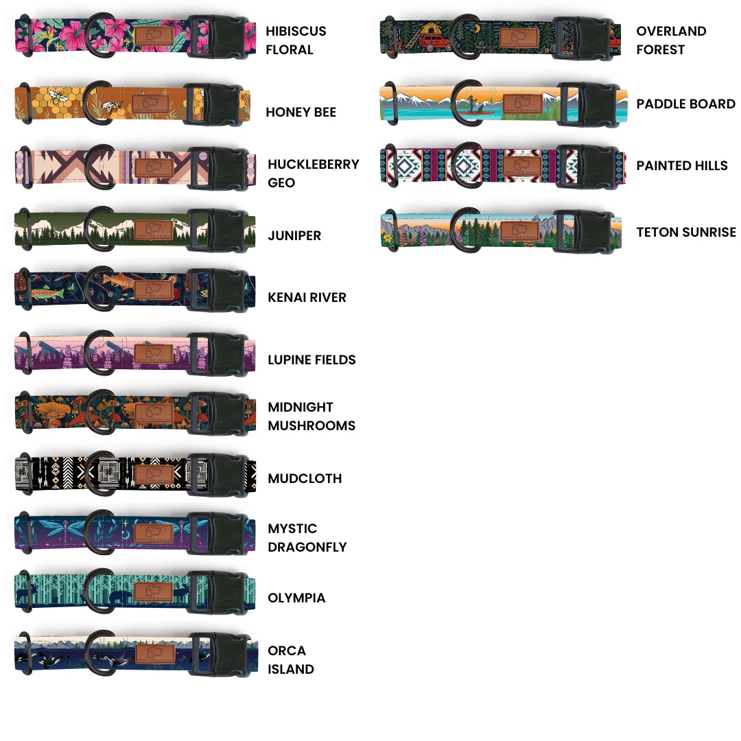 Plastic Buckle Dog Collar Two Pack (choose your designs)
