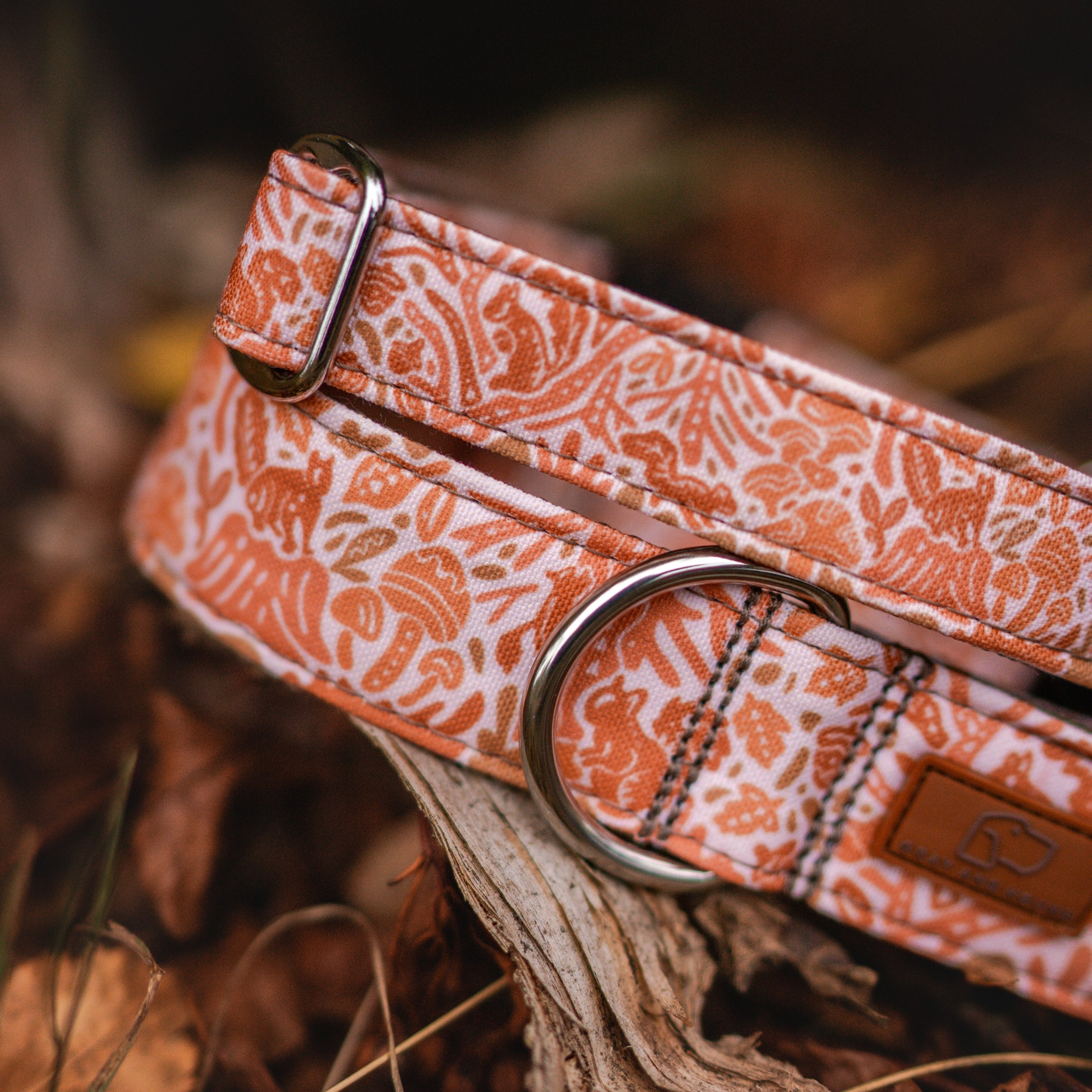 Harvest Squirrel Collar