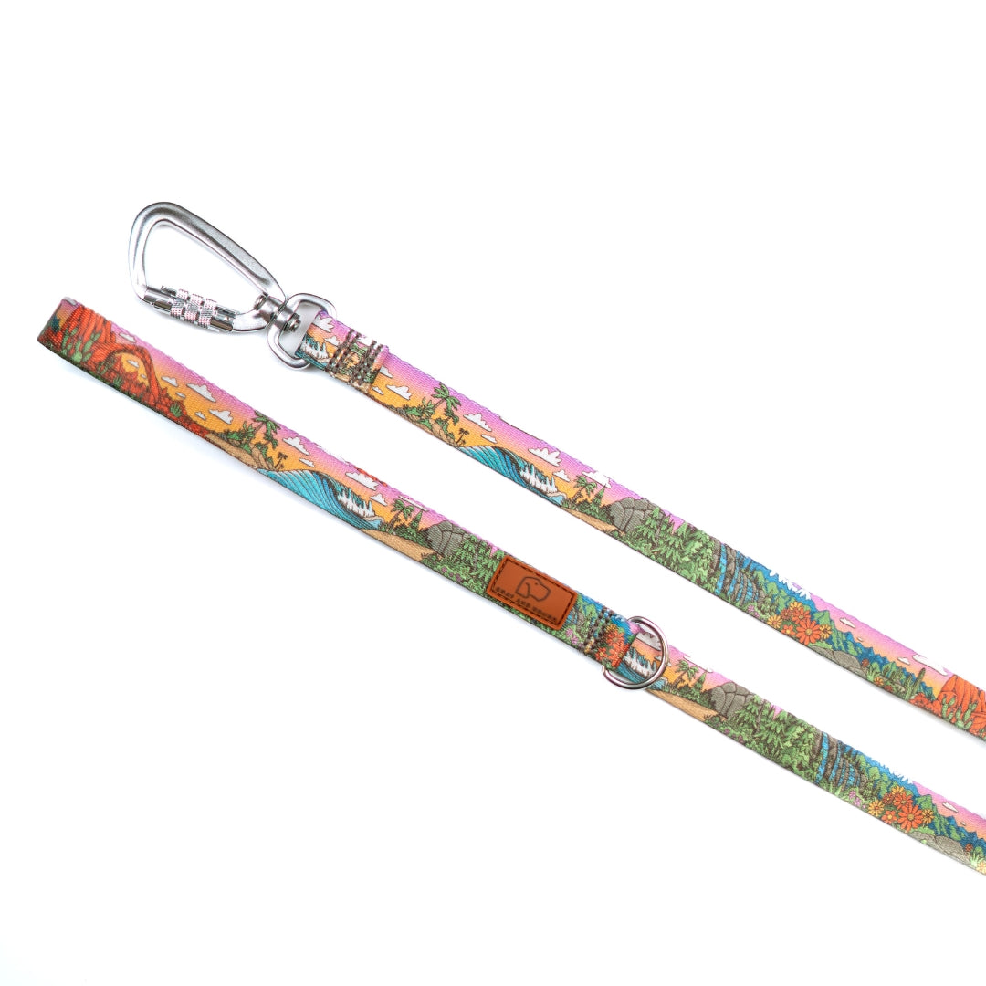 Stroll Dog Leash [pick your design]