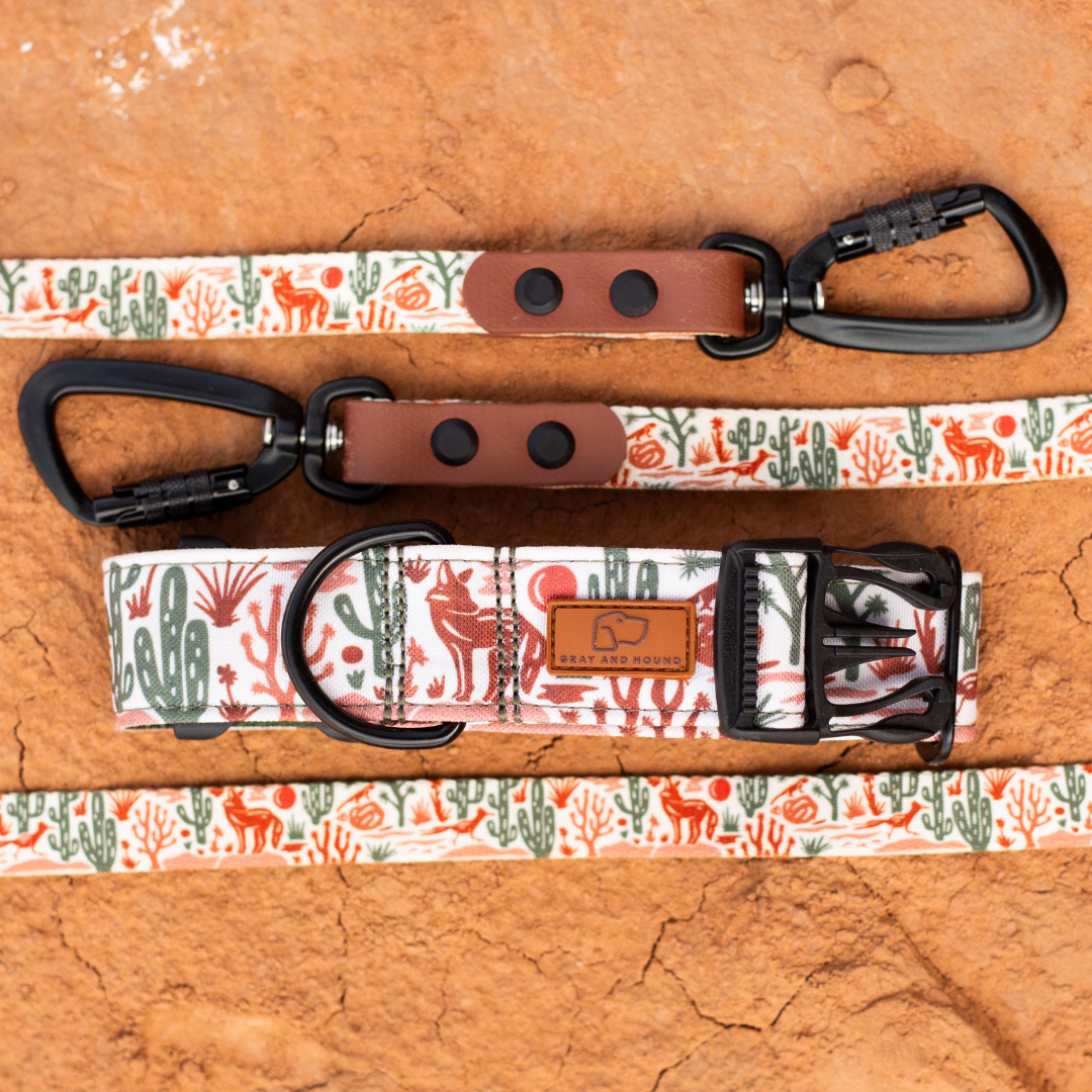 Desert Coyote Collar