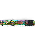 Rainbow Ridge Dog Collar [limited edition]