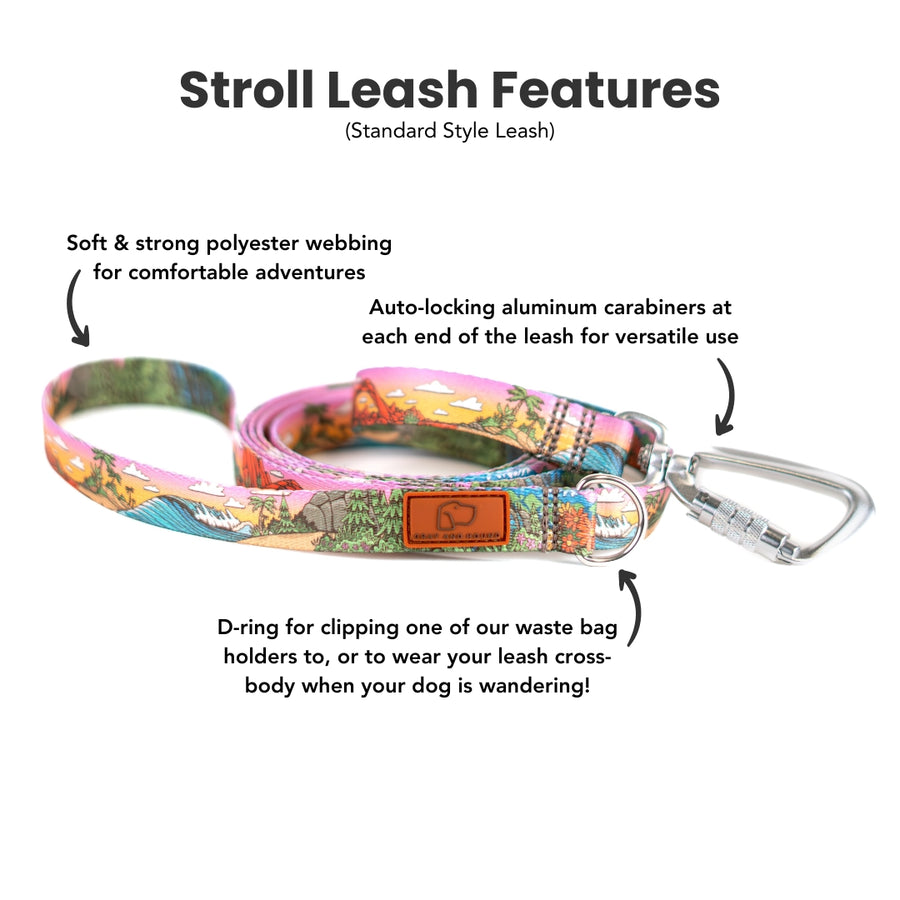 Camp Hollow Dog Leash [artist limited edition]