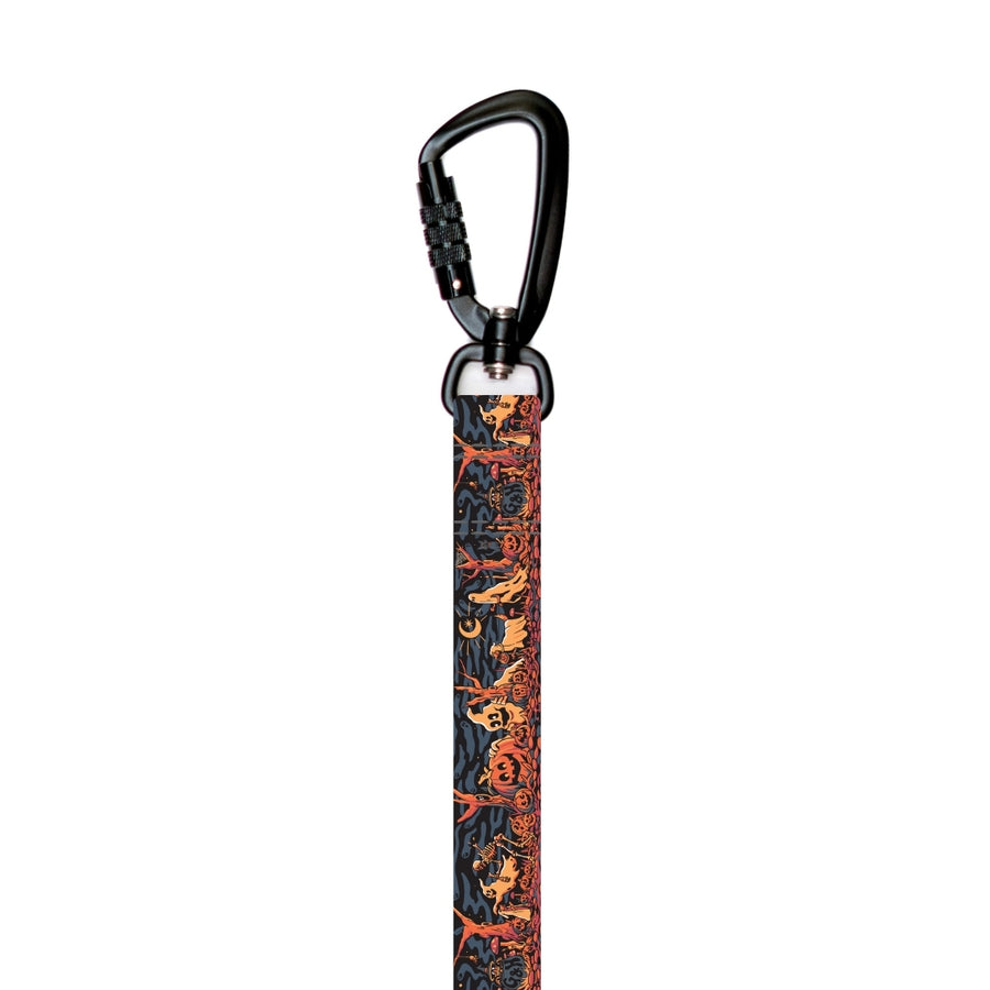 Roam Hands-Free Dog Leash [pick your design]