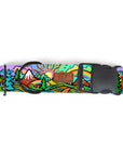 Rainbow Ridge Dog Collar [limited edition]