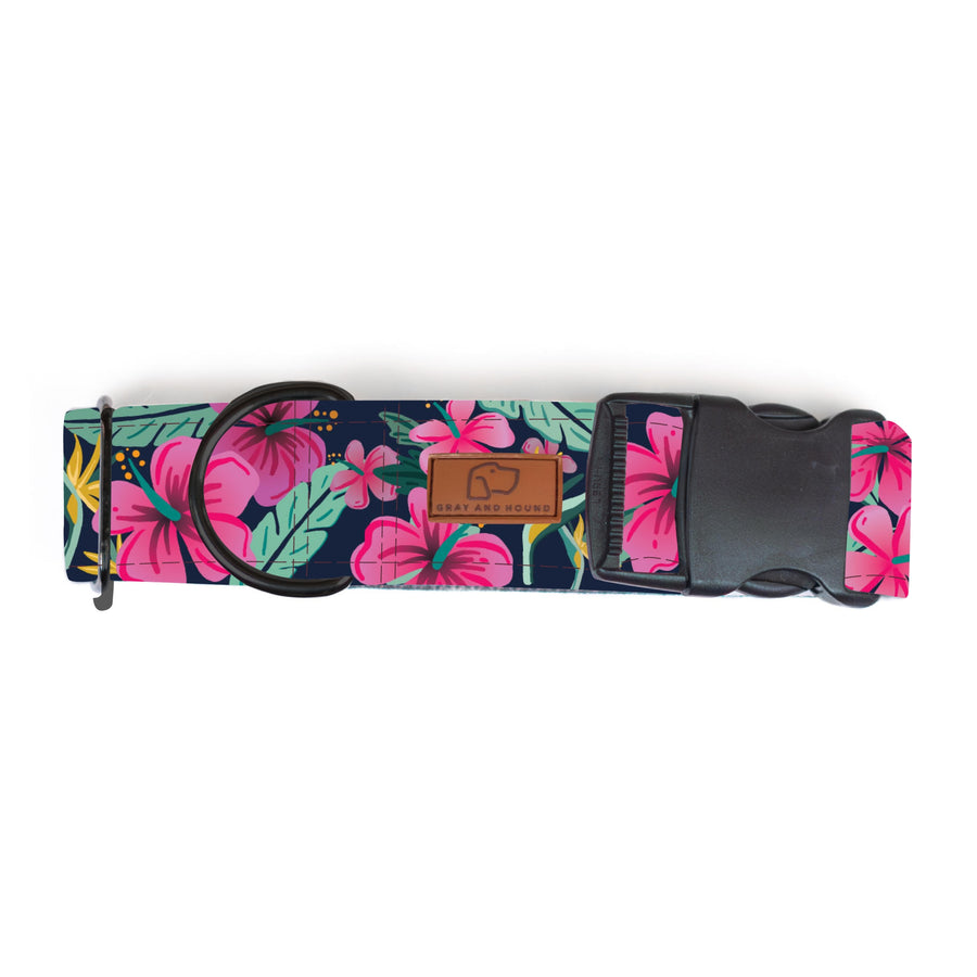 Hibiscus Floral Dog Collar [ready to ship]