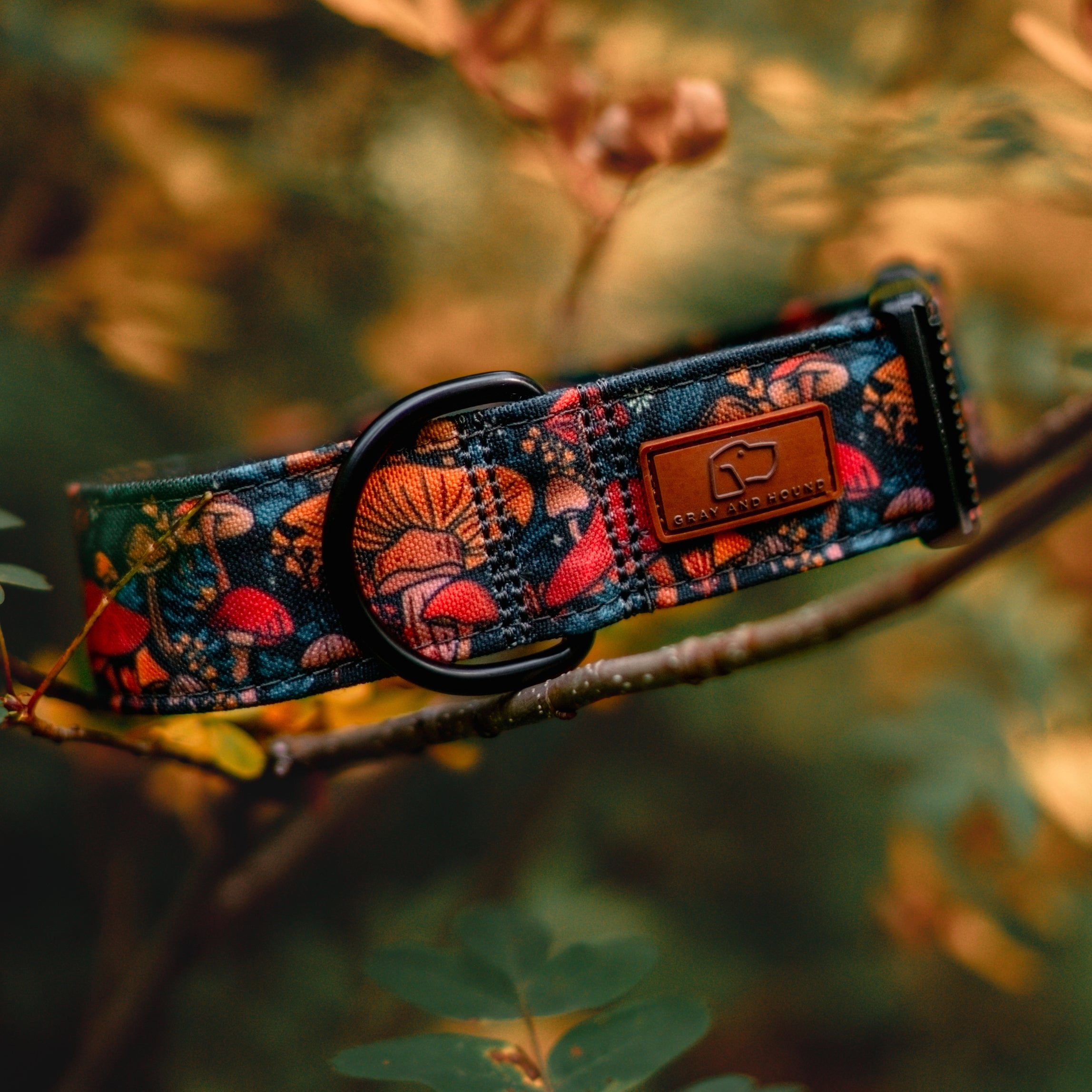 Midnight Mushroom Collar