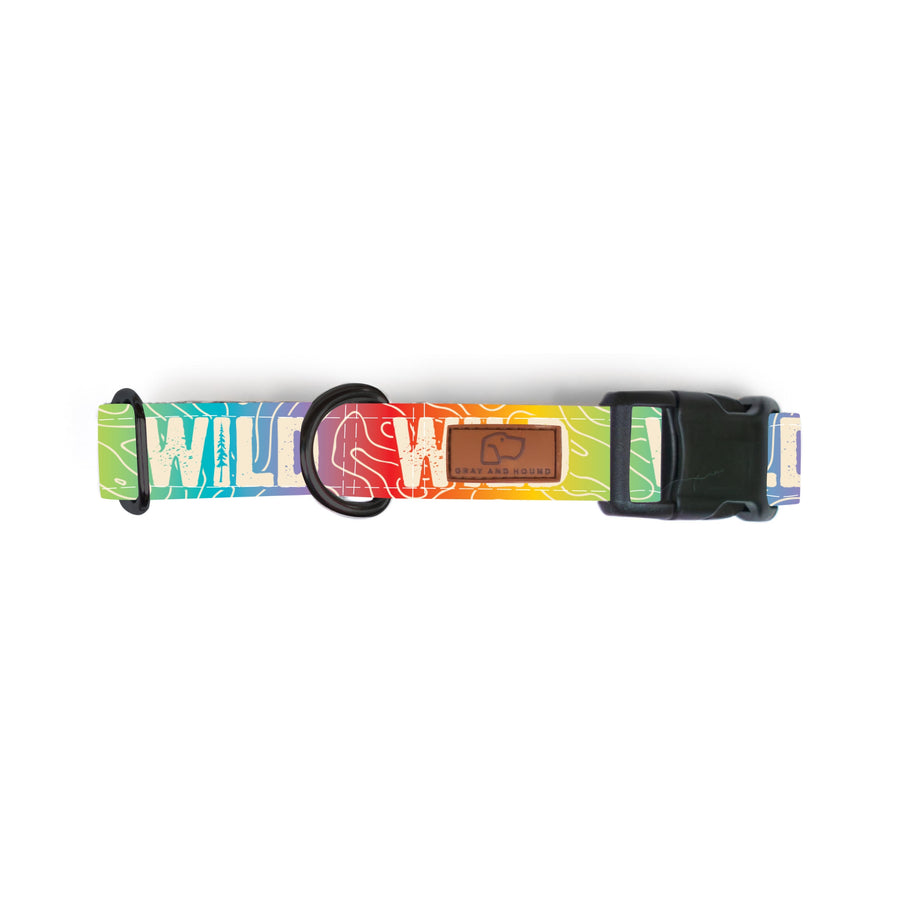 Rainbow Topo Wild Dog Collar [ready to ship]