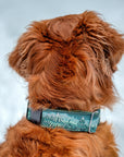 Enchantments in Green Dog Collar [Limited Edition Artist Series]