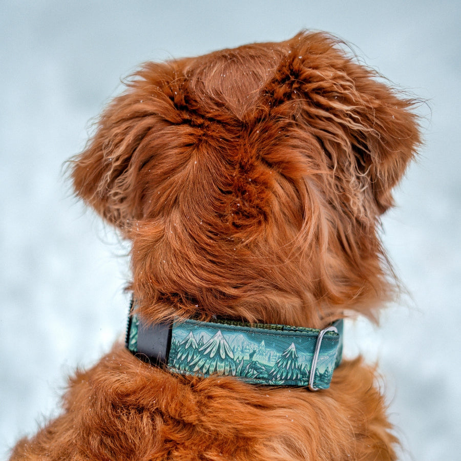 Enchantments in Green Dog Collar [Limited Edition Artist Series]