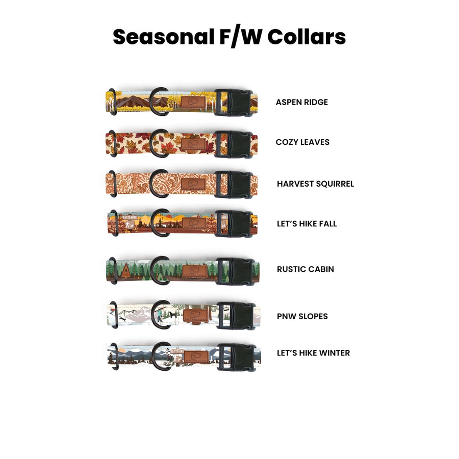 Plastic Buckle Dog Collar Two Pack (choose your designs)