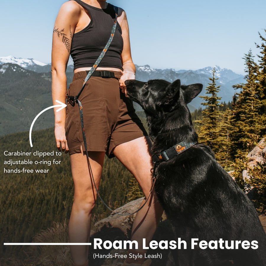 Lava Cascades Dog Leash [artist limited edition]