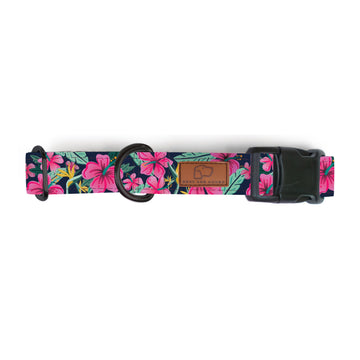 Hibiscus Floral Dog Collar [ready to ship]